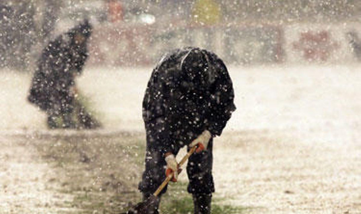 Darbuotojai šluoja sniegą nuo "Partizan" stadiono vejos Serbijos sostinėje Belgrade