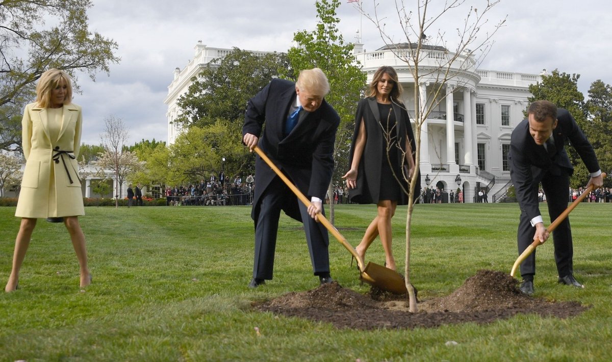 Donaldas Trumps ir Emmanuelis Macronas sodina draugystės medį