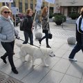 Neringa Čereškevičienė tapo akcijos „Gyvūnų kaspino mėnuo“ ambasadore