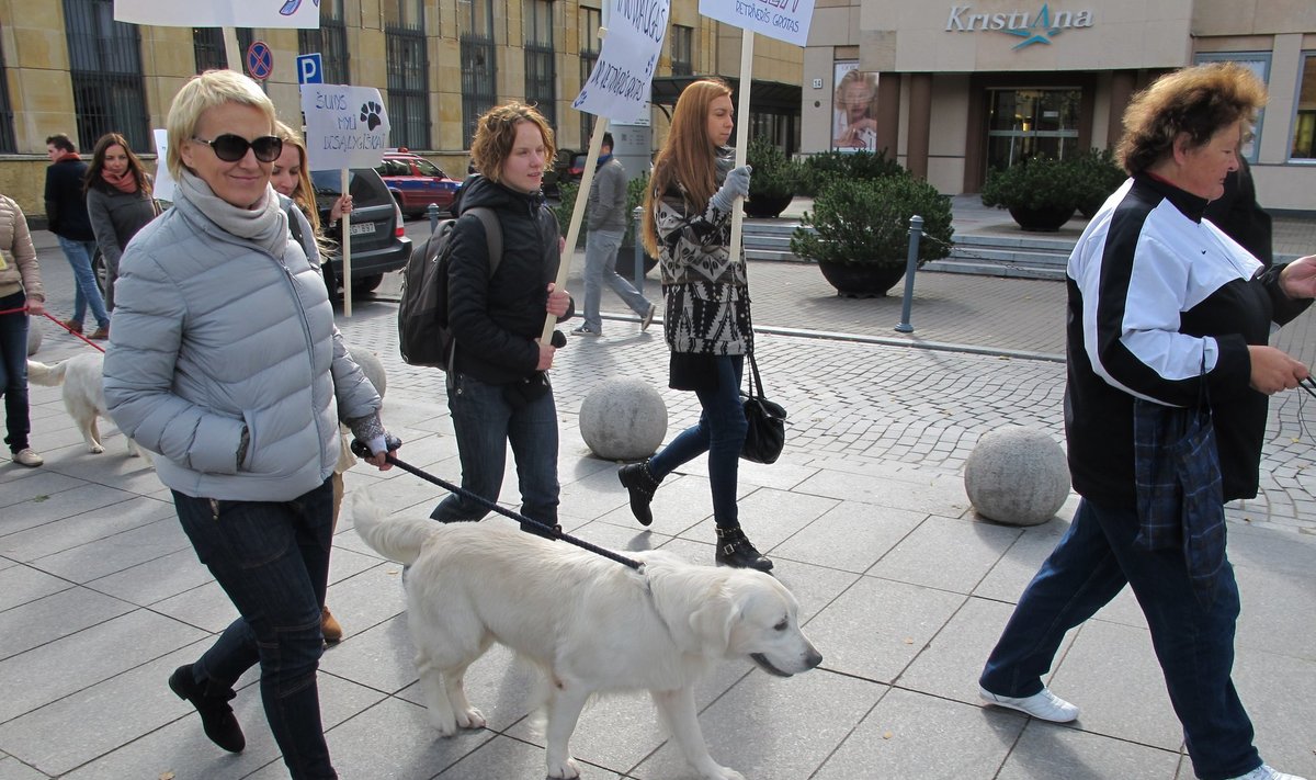 Šunų eisenoje dalyvavusi Neringa tapo projekto „Gyvūnų kaspino mėnuo“  ambasadore