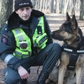 Tarnybinis šuo Atilas miške surado pasiklydusį ir jau nepaeinantį grybautoją