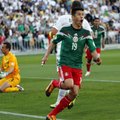 Meksika – priešpaskutinė 2014 m. pasaulio futbolo čempionato dalyvė