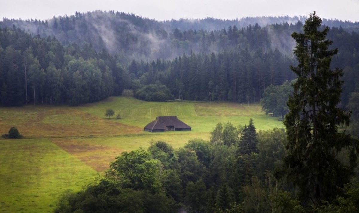 Miškuose prie Baltijos. Latvija, Amatos upės slėnis
