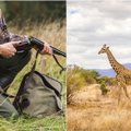 Lietuvos medžiotojų pramogos: Afrikoje nušovė žirafą, gepardą ir kitų egzotiškų gyvūnų
