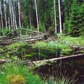 Reorganizacija: ar pavyks išsaugoti Lietuvos regioninius parkus?