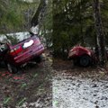 Skaudi eismo nelaimė Kretingos rajone – žuvo į medį atsitrenkusio automobilio vairuotojas