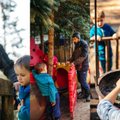Apsilankė Italijos, Graikijos ir Olandijos vaikų darželiuose: vienas skirtumas – akivaizdus