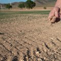 Ispanija skiria 2,2 mlrd. eurų kovai su sausromis