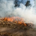 Žolės gaisrai stiprėja: jau išdegė daugiau ploto nei pernai
