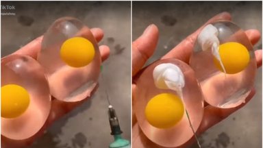 Ar žmonėms teks valgyti plastikinius kiaušinius?