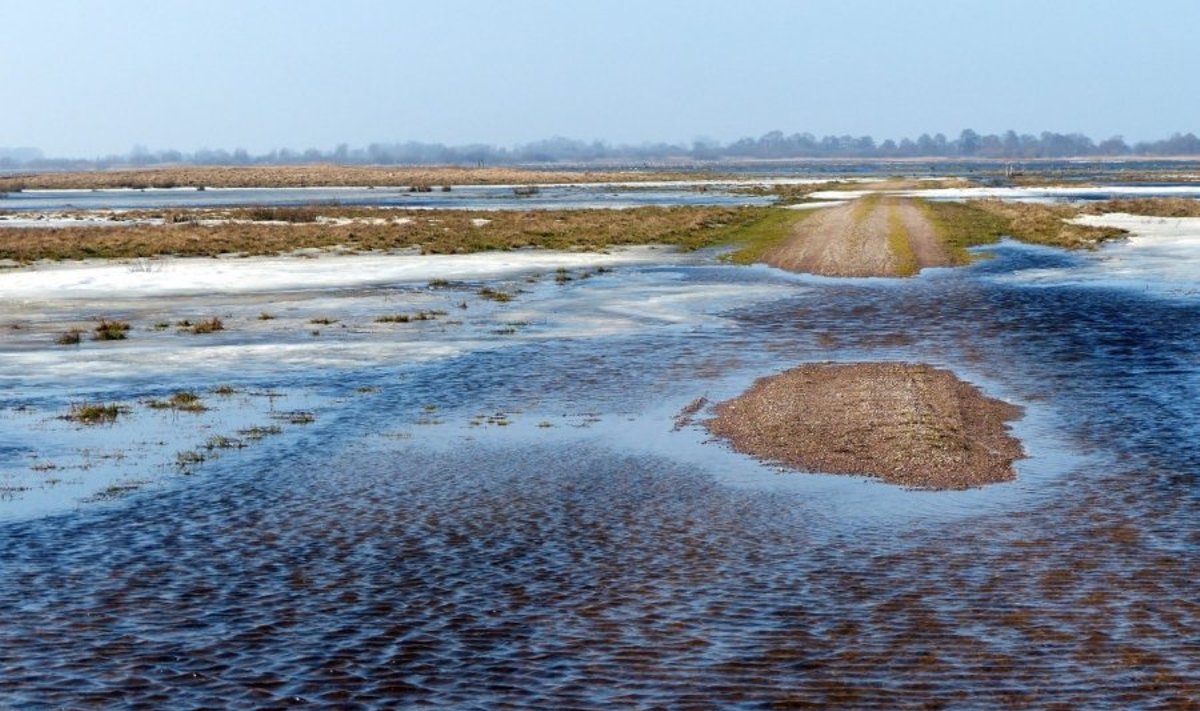 Potvynis Nemuno deltos regione 