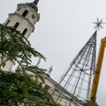 Pirmoji kalėdinė Lietuvos eglė bus įžiebta po uždaru stogu