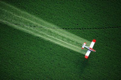 Pesticidais purškiamas laukas