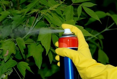 Piktžolių naikinimas pesticidais