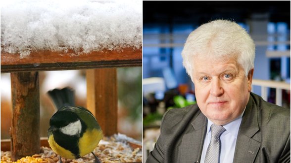 Užsitęsus žiemai gamtininkas Selemonas Paltanavičius ragina pasirūpinti paukščiais