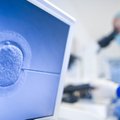 Artificial insemination law making progress in Lithuanian government