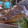 Interneto įžymybe tapusį krokodilą Počo laidojo visas miestelis