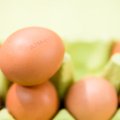 Kada kiaušiniai buvo brangesni – dabar, ar prieš 20 metų