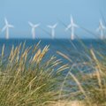 Europoje – naujos priemonės išjudinti pristojusią vėjo energetiką