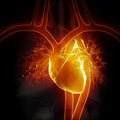 Kardiologus neramina naujausia statistika: jei taip bus ir toliau, širdies ligų tik daugės