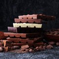 Šios rūšies šokolado patariama vengti: jame esantis elementas stabdo naudingų medžiagų pasisavinimą