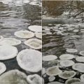 Šušvės upėje užfiksuotas neįprastas reiškinys: vandenyje plaukiojo dešimtys „ledo blynų“