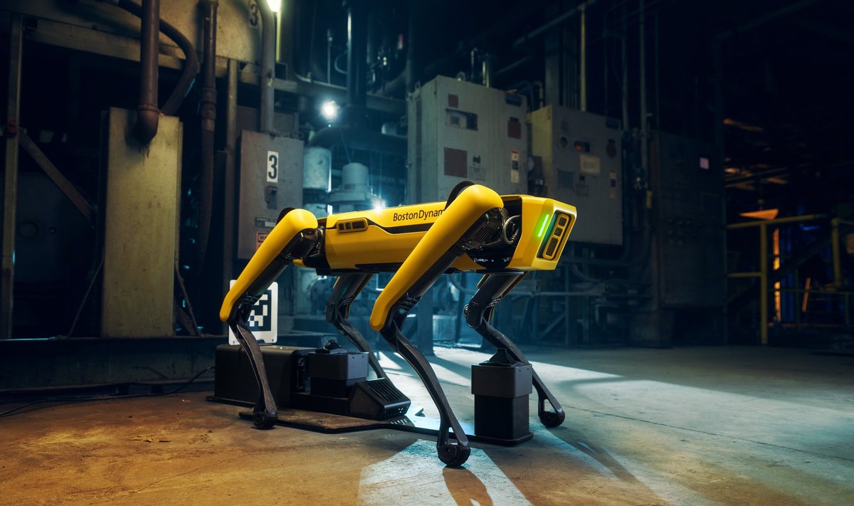 Boston Dynamics šuo robotas