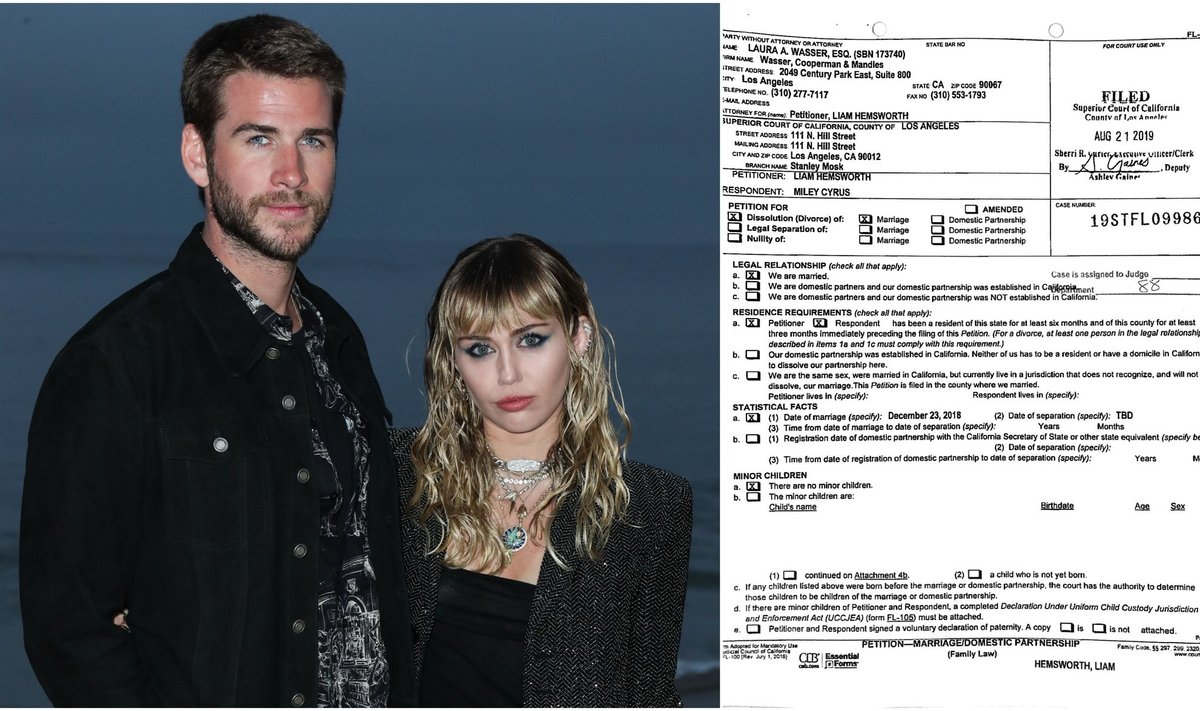 Liamo Hemswortho skyrybų su Miley Cyrus dokumentai