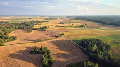 Žemės ūkio strateginės kryptys: didesnė parama, smulkūs ir vidutiniai ūkiai, aplinkos tausojimas