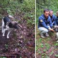 Šunį pasmerkė žiauriai mirčiai: miške batraiščiu pririšo prie medžio ir paliko