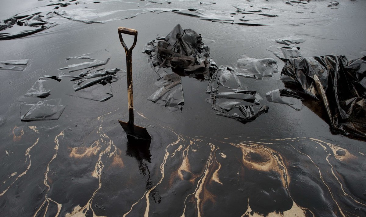 Naftos produktais užterštas teritorijas, kaip šį paplūdimį  būtų galima išvalyti gerokai pigiau 