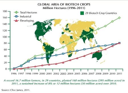 Žaliai pažymėtos valstybės, kurios leidžia auginti bent vieną GMO kultūrą. Grafikas rodo augančių GMO pasėlių kiekį pasaulyje / Prof. P. J. Davieso paskaitos medžiaga