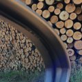 Valstybinės medienos pardavimo tvarka keisis nuo lapkričio