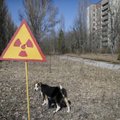 "Разрушили все". Как российская оккупация навсегда изменила Чернобыльскую зону