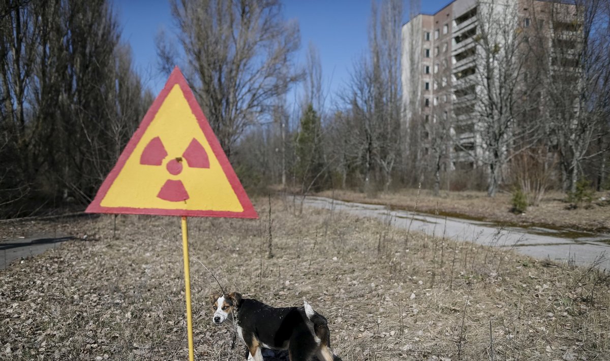 Černobilyje fiksuojamas padidėjęs radiacinis fonas