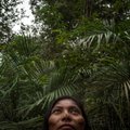 Nepaisant masiškai kertamų atogrąžų miškų, Vokietija toliau teiks paramą Amazonės fondui