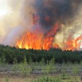 „120s“: gaisro Kuršių nerijoje išvados ir karo grėsmė Ukrainoje