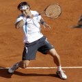 ATP turnyre Barselonoje - lengvos R.Nadalio ir D.Ferrero pergalės