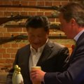 Kinai investuotoja į netoli D. Camerono rezidencijos esančią alinę