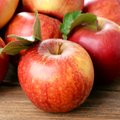 Lenkiški obuoliai Rusijoje užregistruoti kaip plytelės