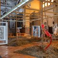 Lietuvių kūrinys Venecijos bienalėje – prestižinio meno portalo rekomendacijų dešimtuke: vertina kaip gražiausiai įrengtą