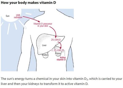 Kaip žmogaus kūnas gamina vitaminą D