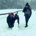 Gausus gruodžio pradžios sniegas Vokietijoje tapo žiemos pasaka