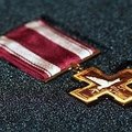 Žūvančiųjų gelbėjimo kryžiais apdovanoti 39 žydus gelbėję Lietuvos piliečiai