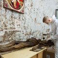Vilniaus rūsio paslaptis: atrasta mumija užminė mįslę