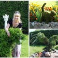 Topiarų menininkė: mano svajonė - visas zoologijos sodas iš augalų