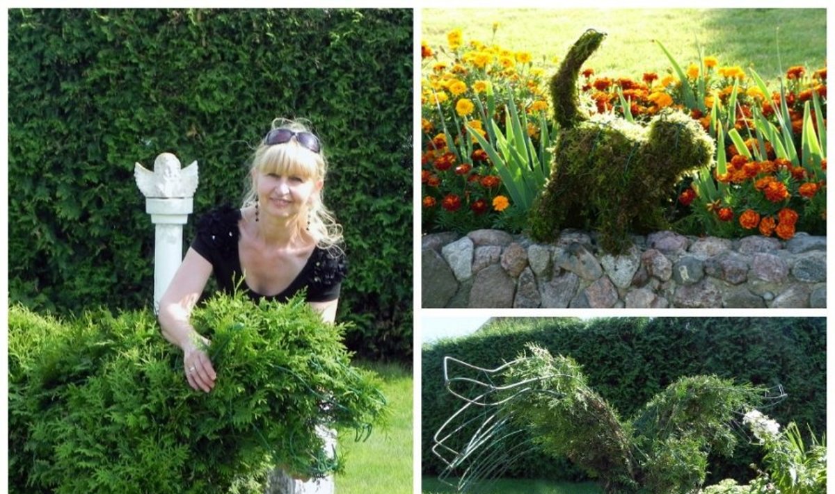 Topiary menininkė Ratkelienė ir jos kūriniai