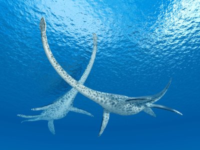 Padaro fosilijos priklauso 6 metrų ilgio ilgakalklio plesiozauro jaunikliui, dar vadinamam elasmozaurui. VidaPress asociatyvi nuotr.