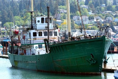 Komerciniuose žvejybos laivuose dedasi blogi dalykai, sako jūrų biologė iš Švedijos