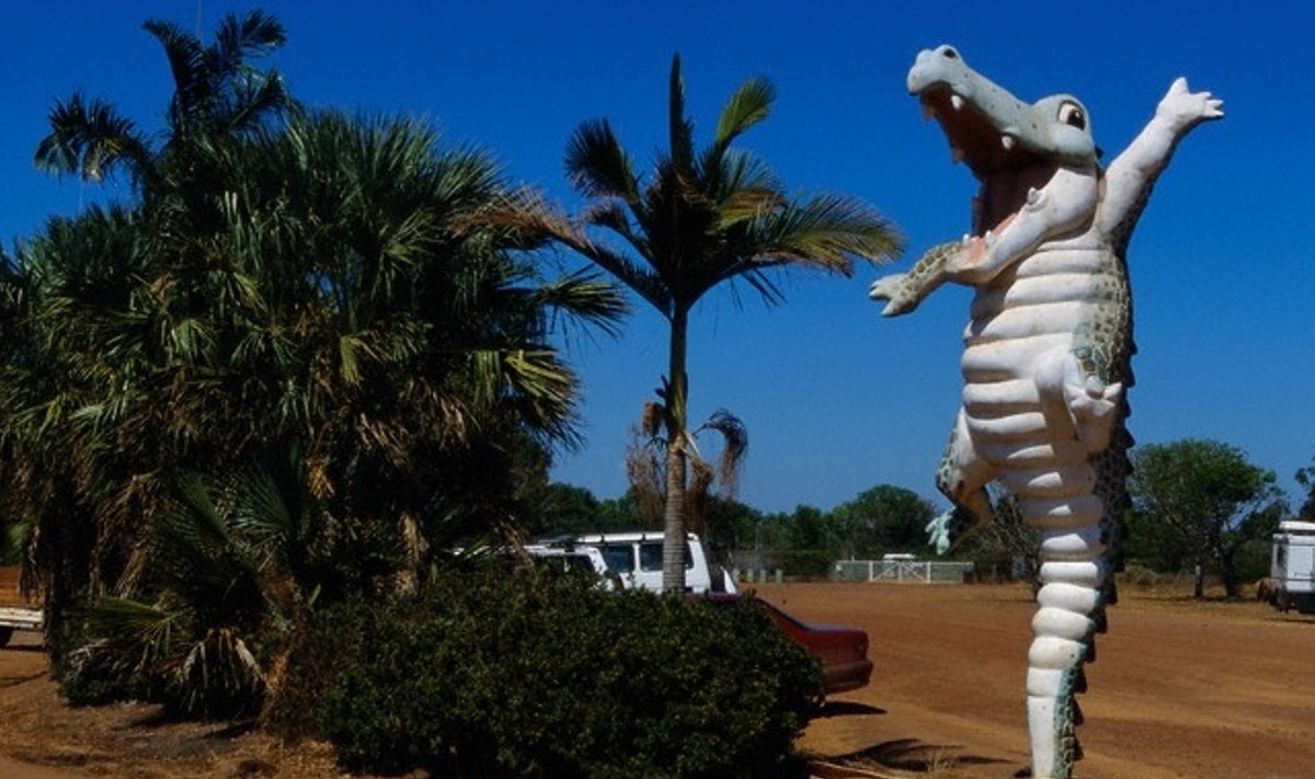 Krokodilo skulptūra Australijoje